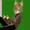 Eta vortaro por VRChat